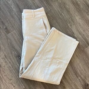 Aritzia Ascendent Pant